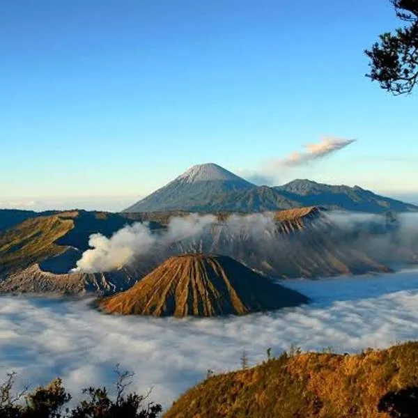 gigafa homestay, hotelli kohteessa Probolinggo