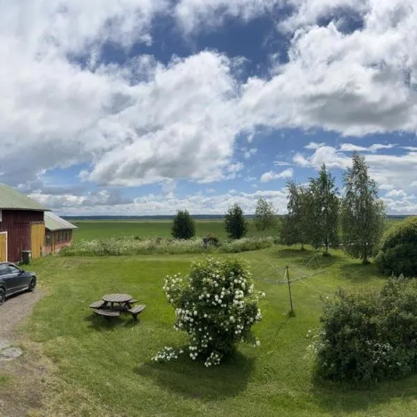 Beautiful Big Farm House with Spectacular Meteor Site View, hotel i Vaasa