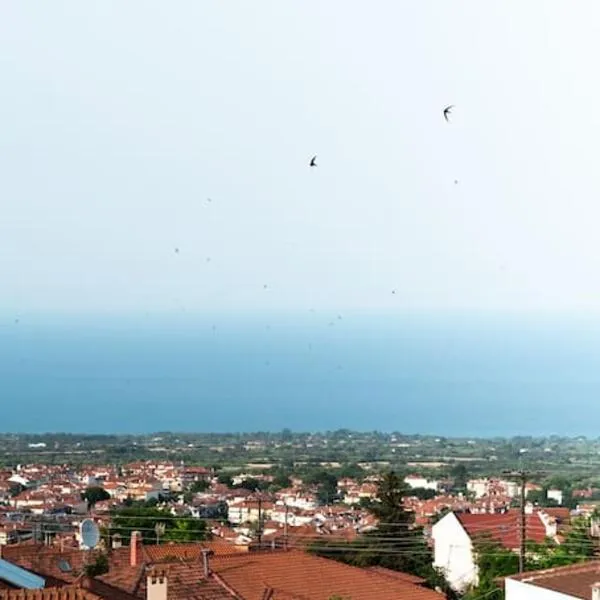 Olympian Panorama, hotel sa Litóchoron