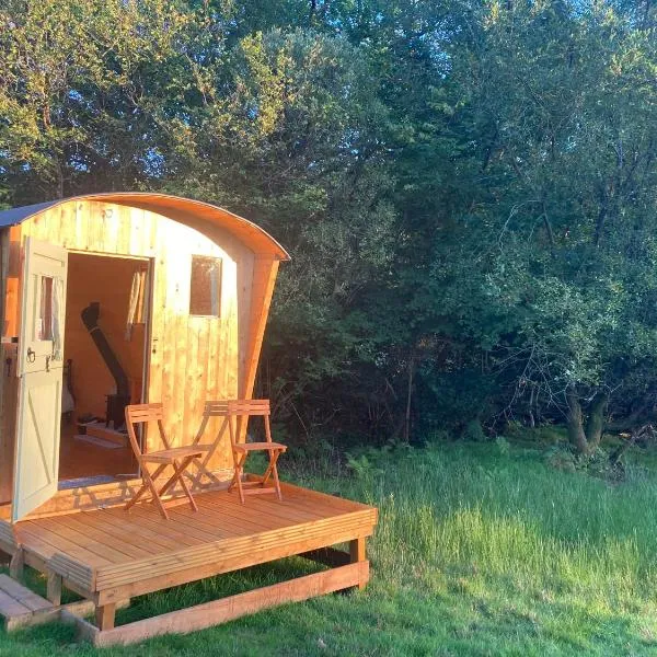 Shepherds Hut on Alpaca and working farm, hotel em Porthmadog