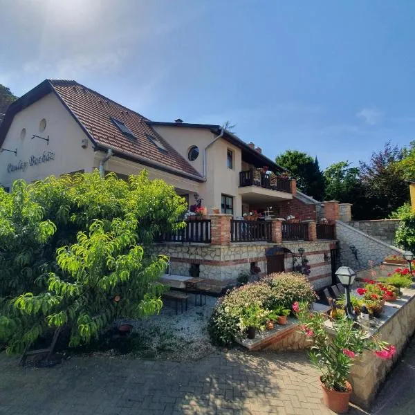 Paulay Borház és Vendégház, hotel din Tokaj