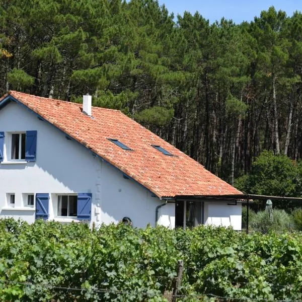 Villa Océan et Forêt, hotell i Castets