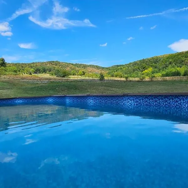 Kuća za odmor Bakina Divljaka, hotel v destinácii Slavonski Brod