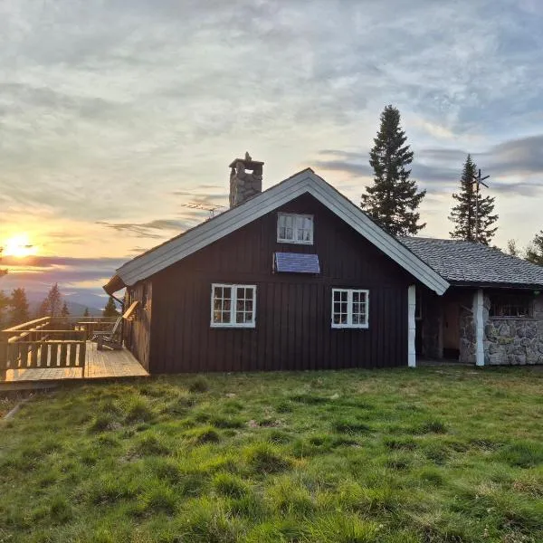 골에 위치한 호텔 Cozy log cabin at beautiful Nystølsfjellet