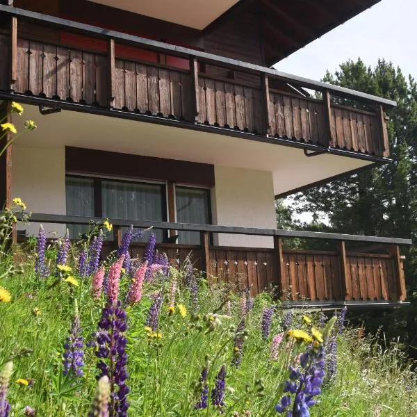 Chalet Christina 7 – hotel w mieście Arosa