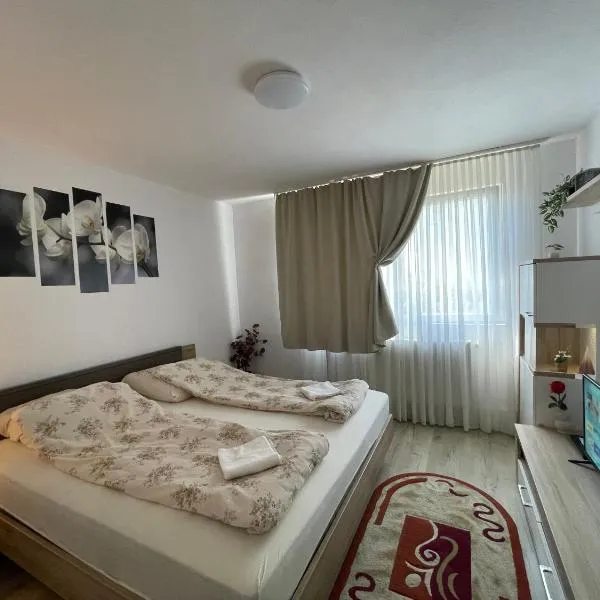 Quiet Corner Apartament, מלון בŞoimeni