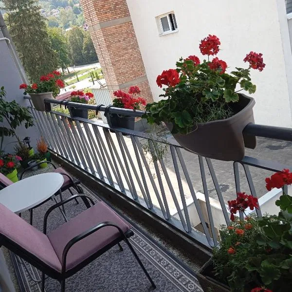 Apartman Radanović: Foča şehrinde bir otel