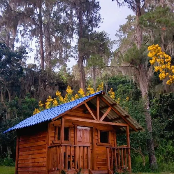 Pinar del Valle - Glamping en el Bosque - Propiedad Completa en Constanza, hotell sihtkohas Constanza