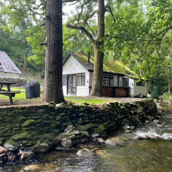 Cuckoo Cabin, Tyn Y Cwm: Aberystwyth şehrinde bir otel