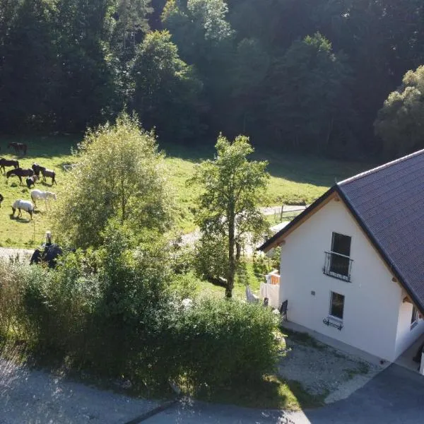 Kellerstöckl am NaturGut Kunterbunt, viešbutis mieste Bad Valtersdorfas