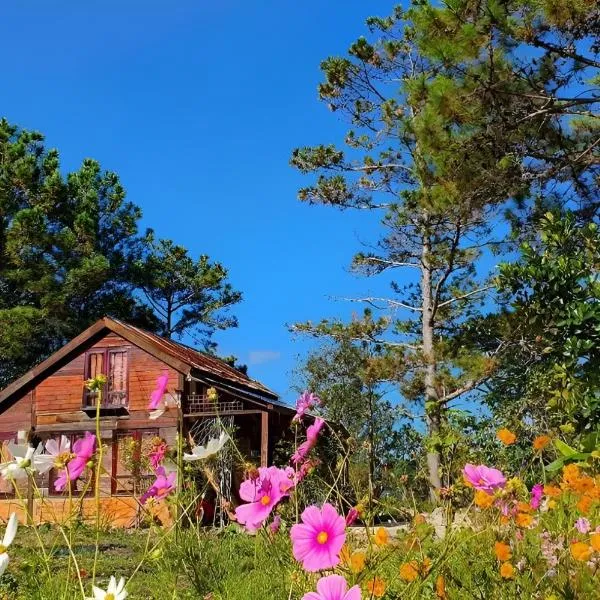 Viesnīca Romantic house 2 on a pine hill Dalat Dalatā