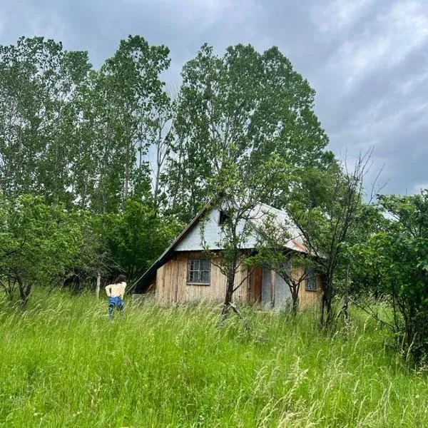 Kazanlak Villa Cottage House with Mountain Views, No Water, Electric or Indoor WC, Roof Over Your Head Малка Къща Вилна Зона, Без Ток, Вода с Външна Тоалетна Прекрасни Гледки и Покрив над Главата, отель в Казанлыке