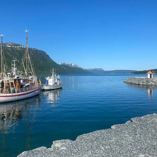 Malangen Arctic Sealodge Cabin 10、Storsteinnesのホテル