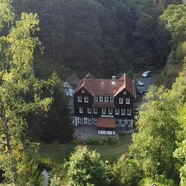 Waldhaus Wolfsbachmühle, Hotel in Schierke