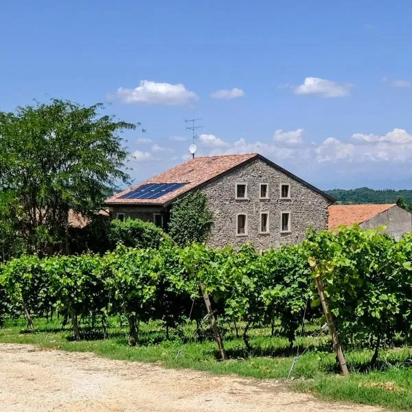 Seiterre Agriturismo Tenuta San Leone, hotel Castelnuovo del Gardában