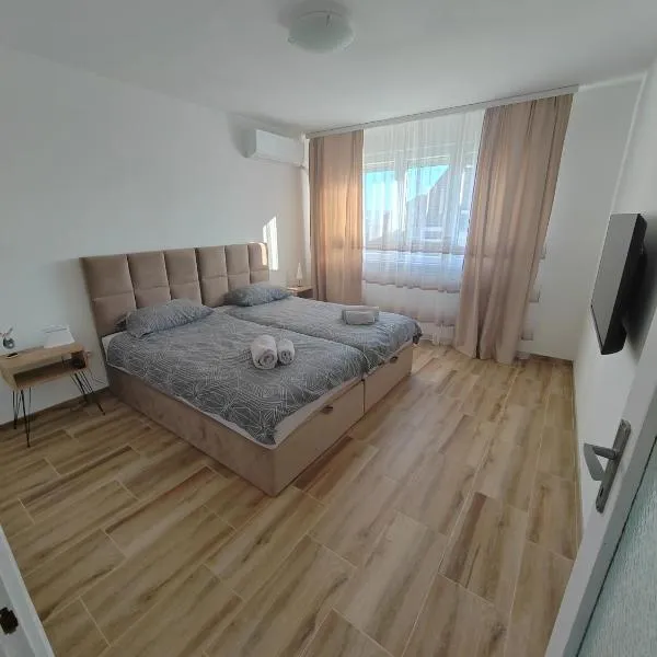 Apartman Ćirić, hôtel à Zaječar