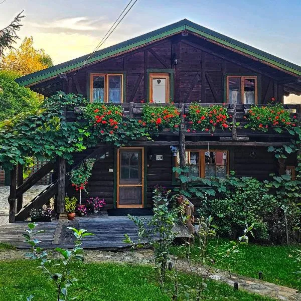 Cabana Bendis, hotel a Rîşnov