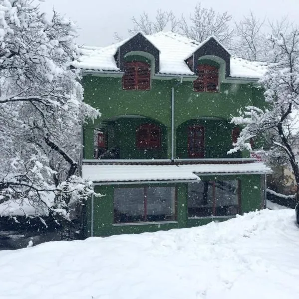 Vila Dukat Stara Planina, hotel u gradu Janja