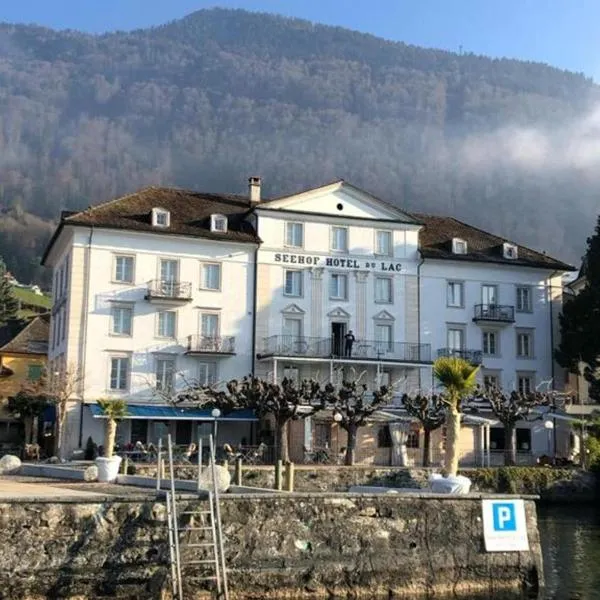 Seehof Hotel Du Lac, hotel u gradu Beckenried