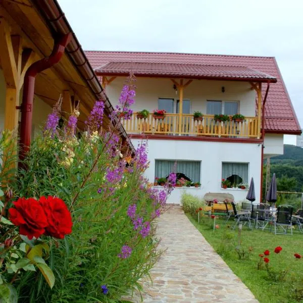 Pensiunea Poezii Alese, hotel in Rogojel