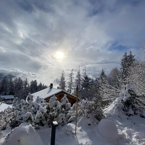 Superbe chalet 12 personnes vue imprenable 2nuits min, hotel u gradu Vercorin