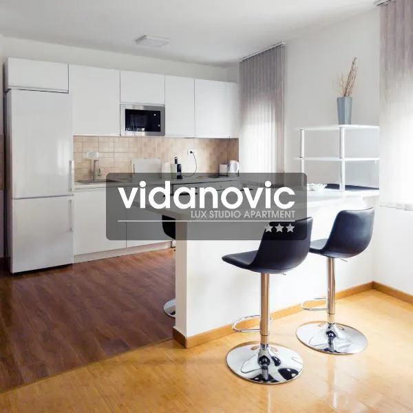 Lux Studio Apartment Vidanovic, viešbutis mieste Pirotas