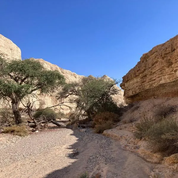 בריזה במדבר، فندق في نيعوت حاكيكار