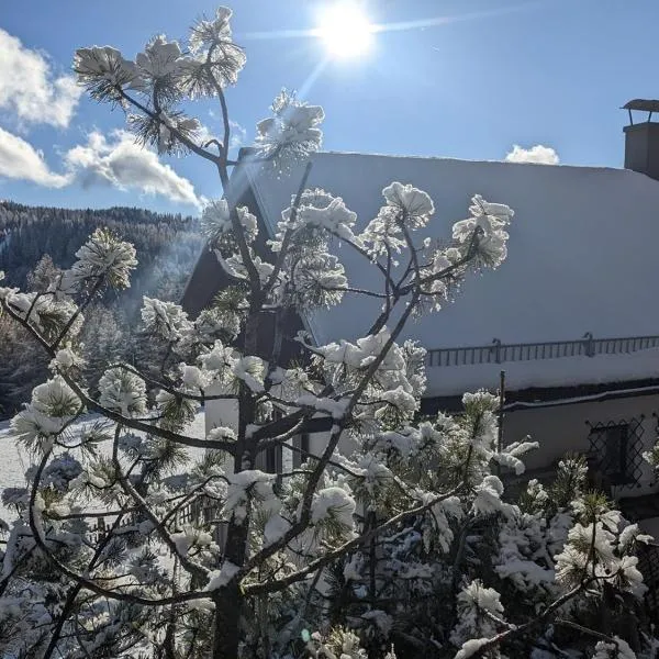 LaLo Alm - Berge erleben, hotell sihtkohas Unzmarkt