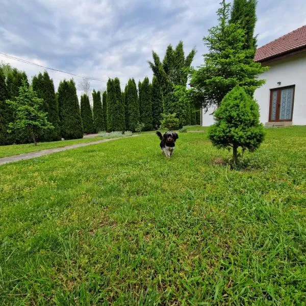 Pensiunea Bradu, отель в городе Сэрата-Монтеору