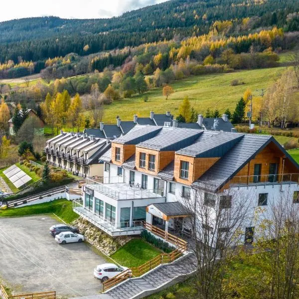 Hotel i Apartamenty pod Śnieżnikiem, ξενοδοχείο σε Lądek-Zdrój