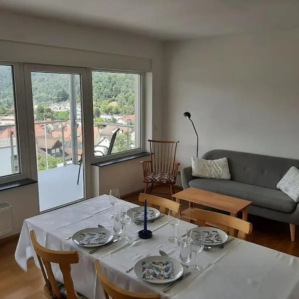 Ferienwohnung mit Neckarblick, hotel en Waldbrunn