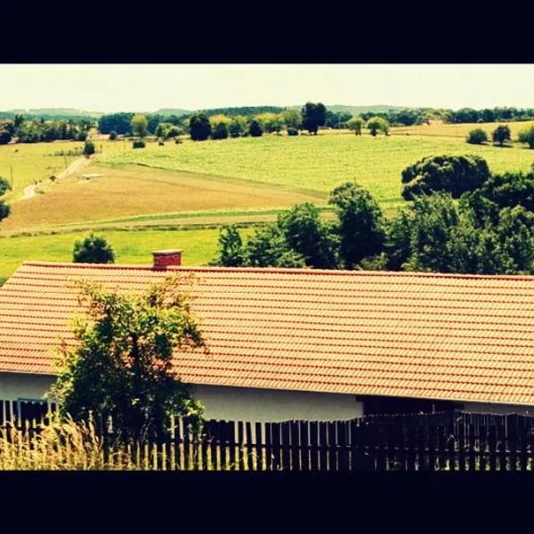 Country house - Slapy/Pazderny, hotel in Kňovičky