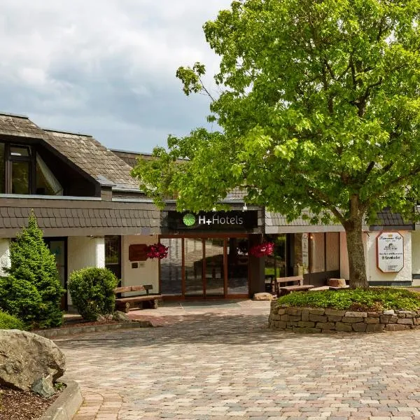 H+ Hotel Willingen, hotel a Willingen