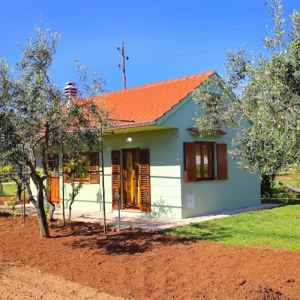 Holiday Home Zemljak، فندق في سوكوشان