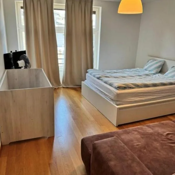 Cozy City Center, 5 bedroom- 120sq, 5min walk to main station, hotel di Basel