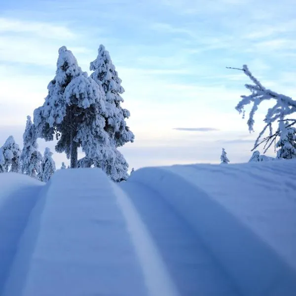 14 - Snø - Alpint - Langrenn - Snøscooter: Trysil şehrinde bir otel