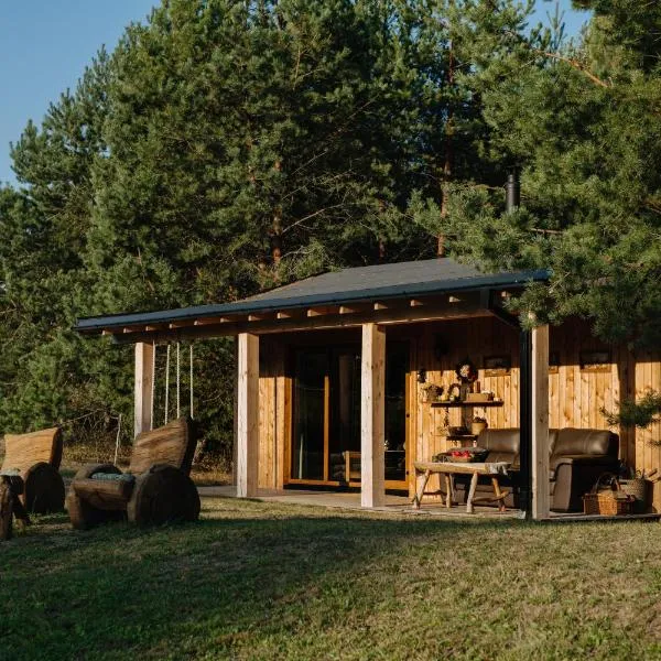 Park cabin, hotel a Antalieptė