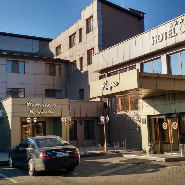 Hotel Ozana, מלון בביסטריטה