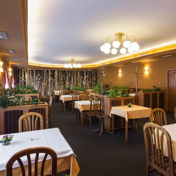 Hotel u Crlíků, viešbutis mieste Němčice