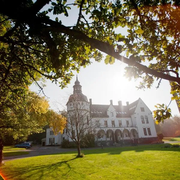 Hellidens Slott, готель у місті Тідагольм