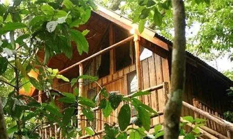 Bayrams Tree Houses, khách sạn ở Olympos