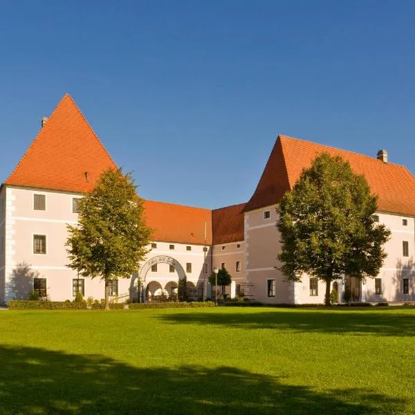 Schloss Hotel Zeillern, viešbutis mieste Saxen