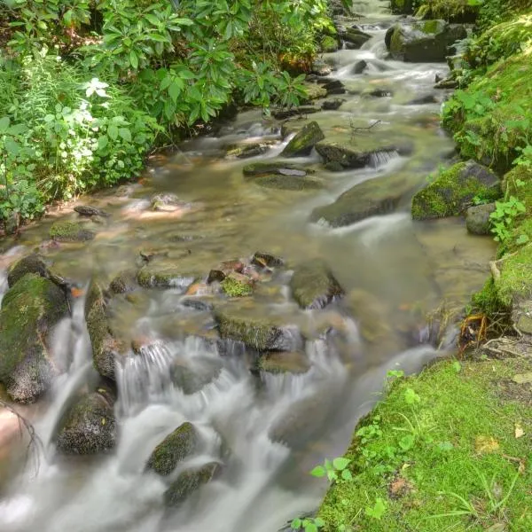 Panther Creek Cabins, отель в Сильве