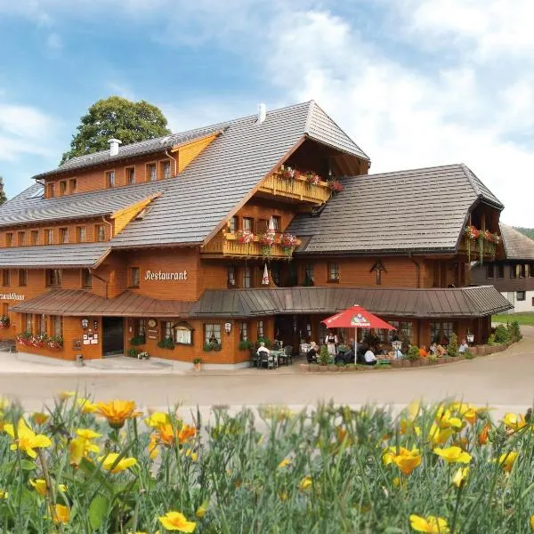 Viesnīca Naturparkhotel Schwarzwaldhaus pilsētā Titizē-Noištate