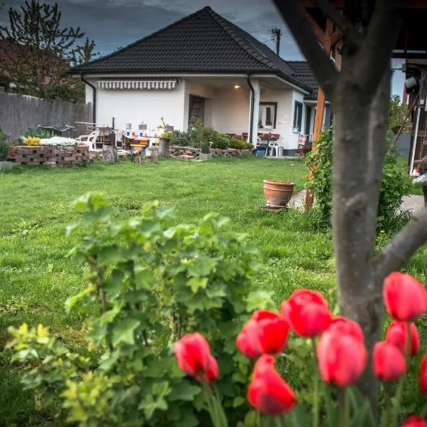 Big Garden House, hotel in Dunajská Streda