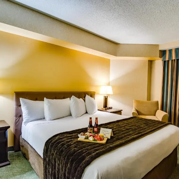 Sawridge Inn and Conference Centre Edmonton South, Hotel in Edmonton