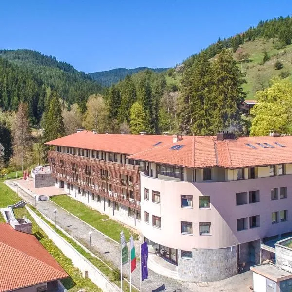 Borika Hotel: Chepelare şehrinde bir otel