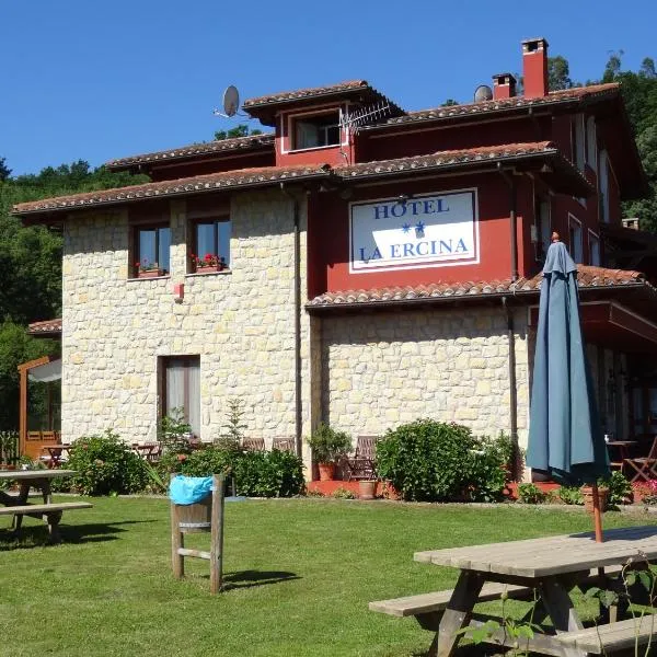 Hotel La Ercina, hotel in Camarmeña