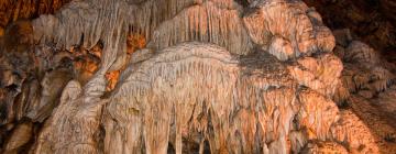 Höhle von Han-sur-Lesse: Hotels in der Nähe