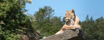 Hotéis perto de: Zoológico e Parque de Diversões Kristiansand